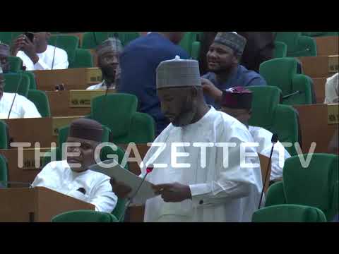Reps pass amended 2024 Budget of N35.055trn , amend Finance Bill