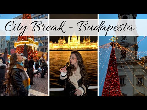 Danube Cruise in Budapest + Christmas Market