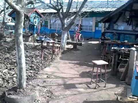 Prima vara in comuna leu jud. Dolj