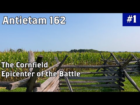 The Cornfield and Epicenter | Antietam Battlefield Tour | Antietam 162