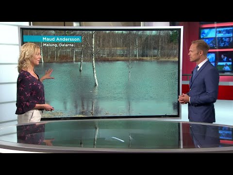 Klass 2-varningar för översvämningar – nu smälter snön - Nyheterna (TV4)