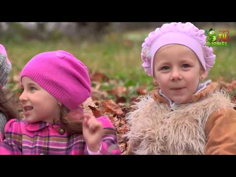 Licuricii - Cade Frunza