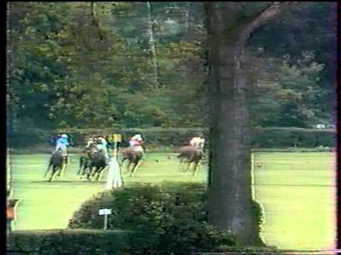 99. Velká pardubická