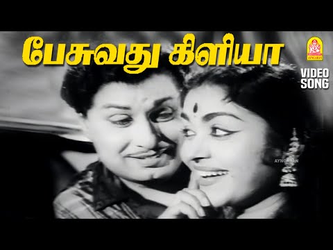Pesuvathu Kiliya - HD Video Song | பேசுவது கிளியா | Panathottam | MGR | Saroja Devi