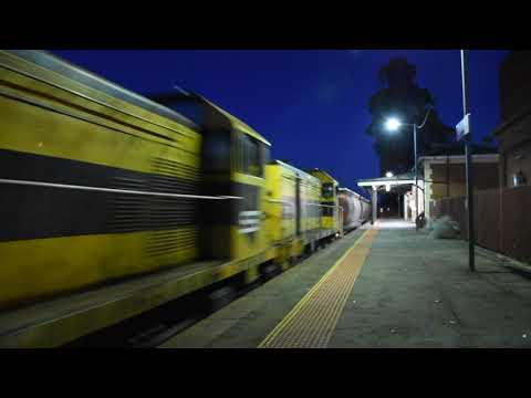 S302 T385 T386 SSR grain through Elmore