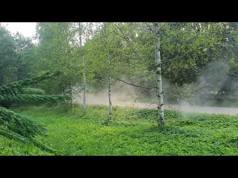 Ott Tänak 2025 Rally Estonia Kambja