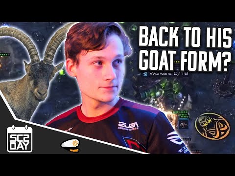 Did The GOAT Return? And Why Did Dark SMASH his desk? | SC2DAY