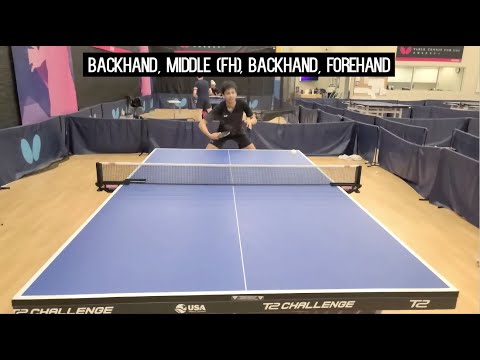Butterfly Training Tips with Anav Gupta - Backhand, Middle FH, Backhand, Forehand
