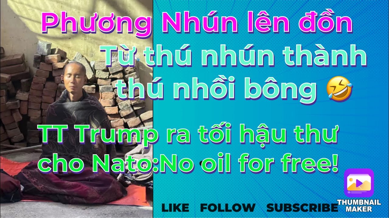 P.Nhún lên đồn:Từ thú nhún thành thú nhồi bông/TT Trump tối hậu thư cho Nato:No oil for free!