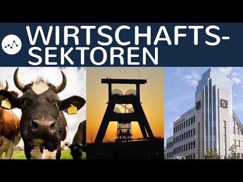 Wirtschaftssektoren einfach erklärt - Produktionssektor, Industriesektor, Dienstleistungssektor