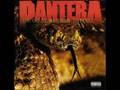 PanterA - The Great Southern Trendkill