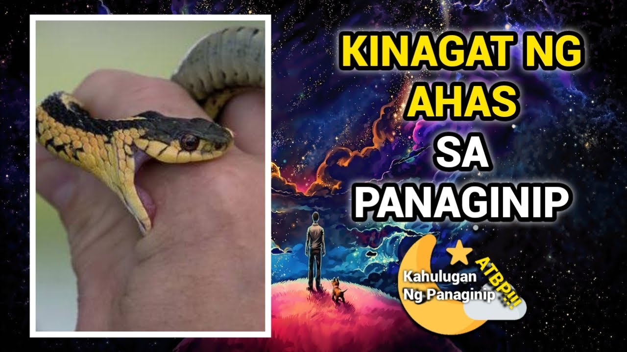 Putar video Kahulugan Sa Panaginip Na Kinagat Ng Ahas sekarang Kahulugan Sa Panaginip Na Kinagat Ng Ahas
