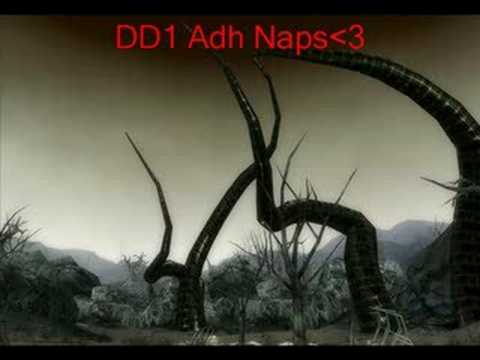 Adh dd1 Naps