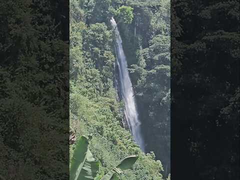 Cascada Chorros Blancos Andes Antioquia Colombia #cascadas #rios #paisajismo