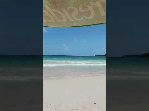 Good Morning from the caribbean