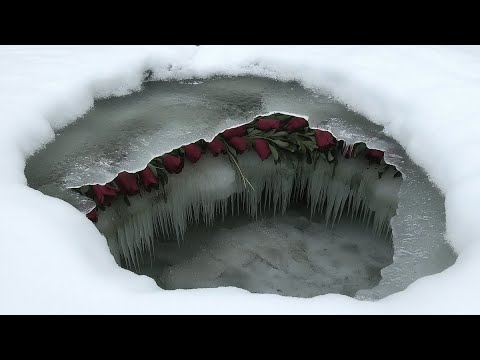 allowing love ˋ°•*⁀➷ the pure love frequency subliminal + 528 Hz