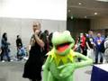 Kermit The Frog At San Diego Comic Con 08
