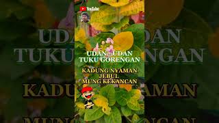 Download lagu Story Jawa Lucu Bikin Sakit Perut || Story Hari Ini || Status Wa Keren mp3 Download lagu Story Jawa Lucu Bikin Sakit Perut || Story Hari Ini || Status Wa Keren mp3