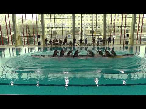 5. Hallescher Drachenboot Indoorcup - Rennen 03 - Mühlsteine Löberschütz vs. Chemie Express