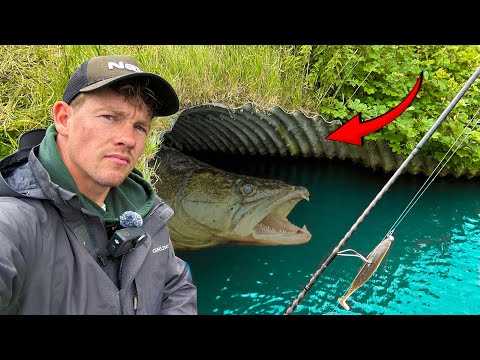 WELKE MONSTERVISSEN LEVEN IN DEZE DONKERE TUNNELS?🤔