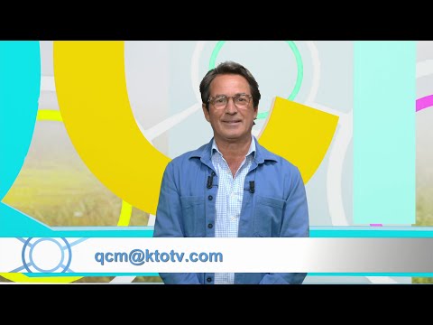 Questions téléspectateurs QCM juin 2026 (3/4)