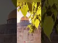 SHORT DHIKR MEDLEY