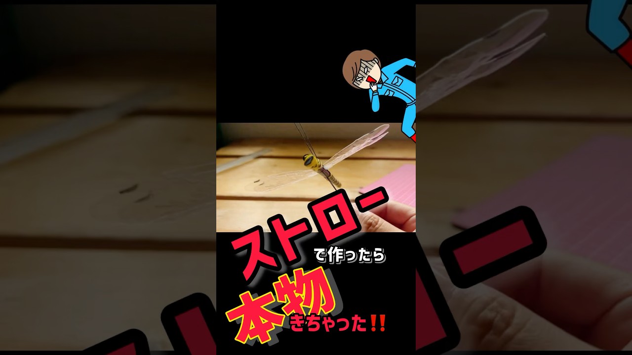 ストローで作ったオニヤンマに本物が偵察に来た‼️【DIY虫よけ】 #工作 #オニヤンマ #ストロー