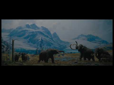 WONDERSTRUCK | Trailer