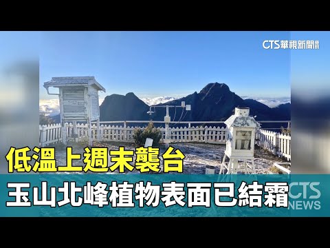 低溫上週末襲台　玉山北峰植物表面已結霜