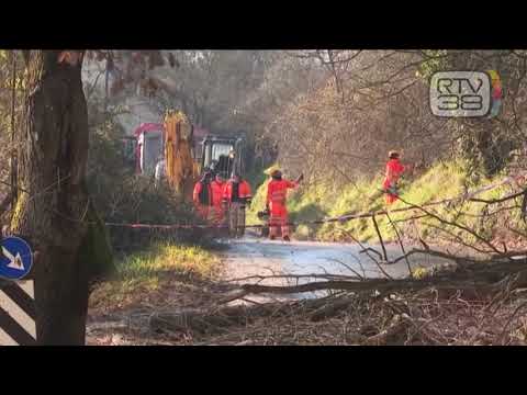 IL CASO FI-PI-LI FINISCE IN TRIBUNALE