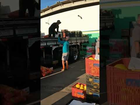 Chegada das Frutas e Verduras na Terça Feira em São José do Egito Pernambuco #nordeste #feira