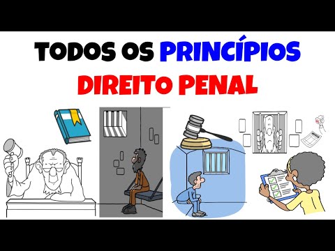 ALL the Principles of Criminal Law for the OAB and Public Exams! (Complete Summary)