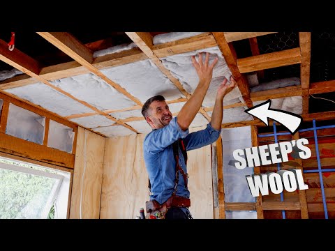Turning A Kitchen into A Bedroom: Insulating the Walls
