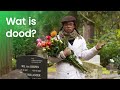 Wat is dood? | Het Klokhuis over dood en afscheid
