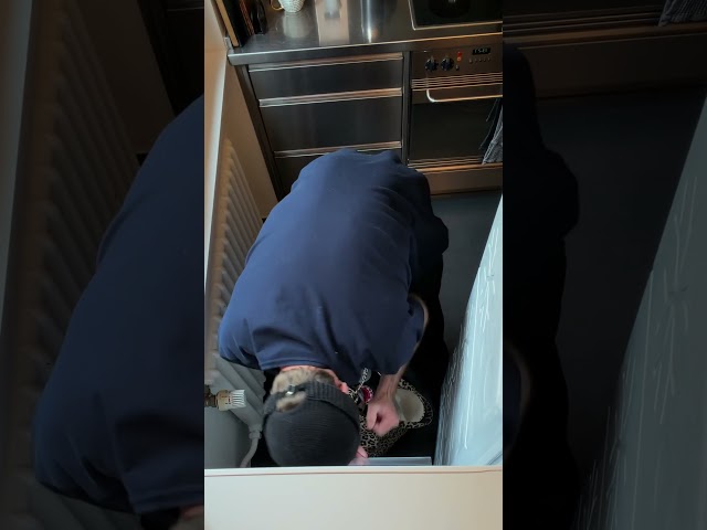 Video Teaser für FORS FFF 551444 NE Test & Bewertung von Oliver: No-Frost Gefrierschrank im Alltag
