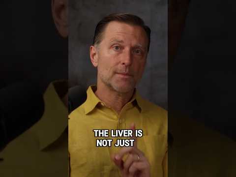 What Would Happen If You Stopped Drinking Alcohol For 14 Days?