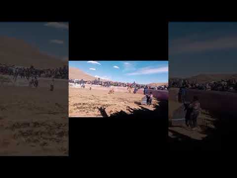 #corrida-de-toros#ganaderia-juventud#Oruro-huanuni