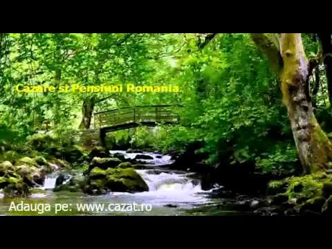 Cazare Feleac, Bistrita Nasaud - Cazat.ro