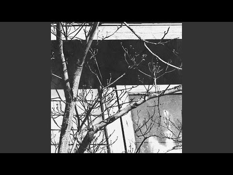 Haven'tBeenMyselfLately