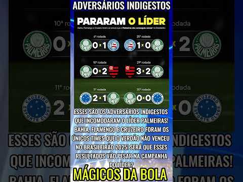 Pararam o Líder #futebol #brasil #flamengo #santos #saopaulo #cruzeiro #palmeiras #bahia #mirassol