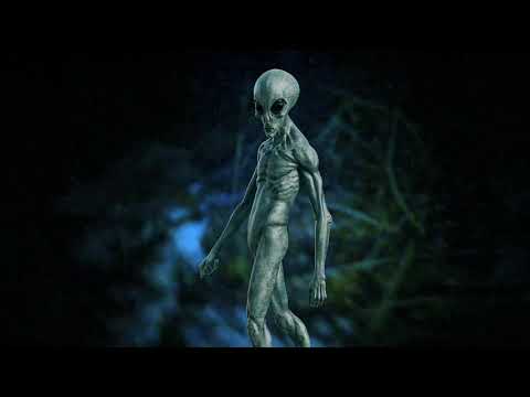 Creepypasta : "Il Lago d'Inverno"