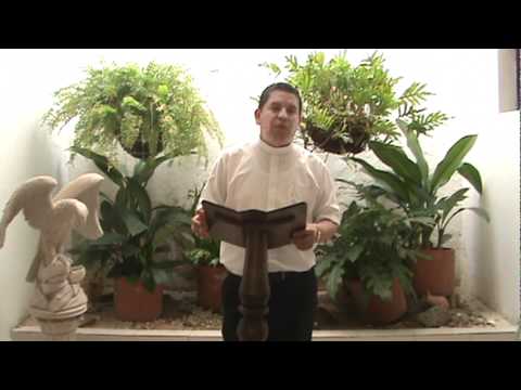 EVANGELIO DIARIO 16 DE AGOSTO 2011 - PARROQUIA LA SAGRADA FAMILIA