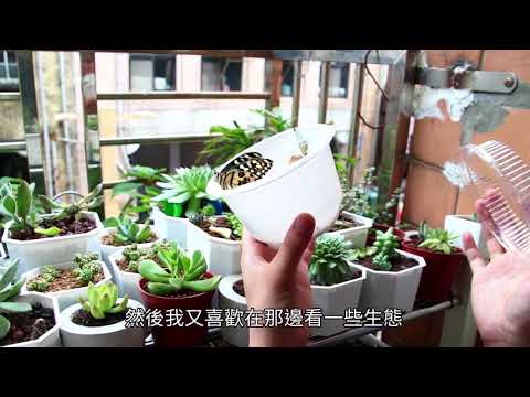 塑料再生飾品 破除麻痺環境意識