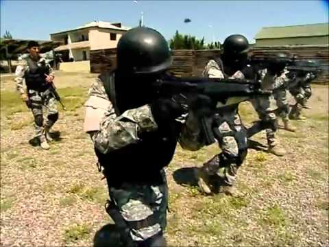 Special State Protection Service ( SSPS )