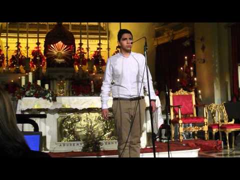 You raise me up - Lydon Incorvaja (cover)