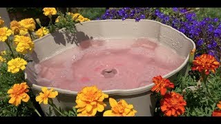 Blood of the Earth Stains Garden Waters