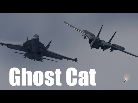 DCS Cinematic | GHOST CAT