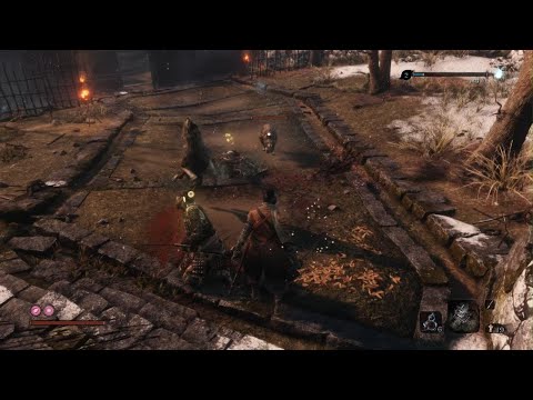 Sekiro™: Shadows Die Twice Black Crush Test