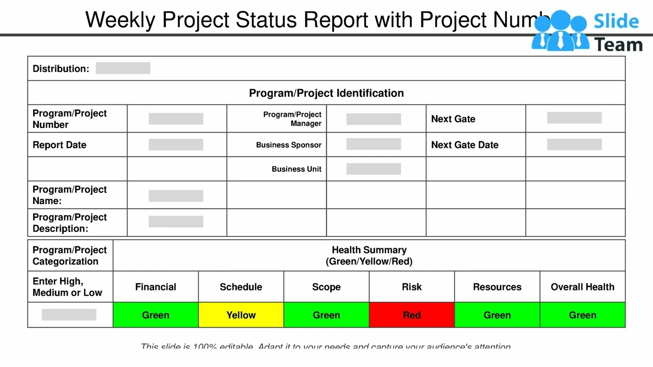 Weekly Project Status Report With Project Number
