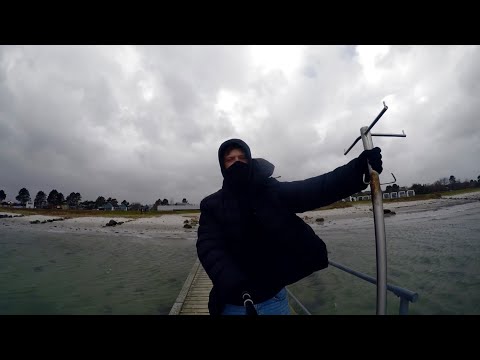 The Storm Malik 2022